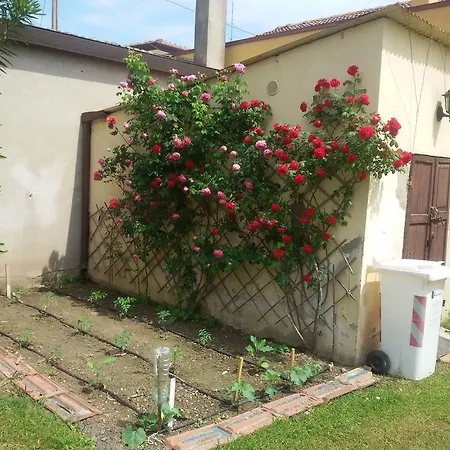 B&B Di Manu