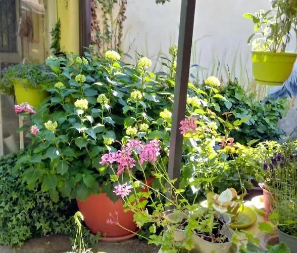 Bed & Breakfast Di Manu